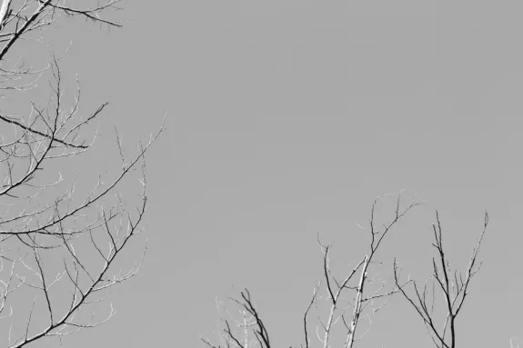 XCasino Casinò Supporto